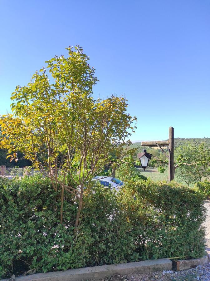 Allotjament Rural Solsona Exterior photo